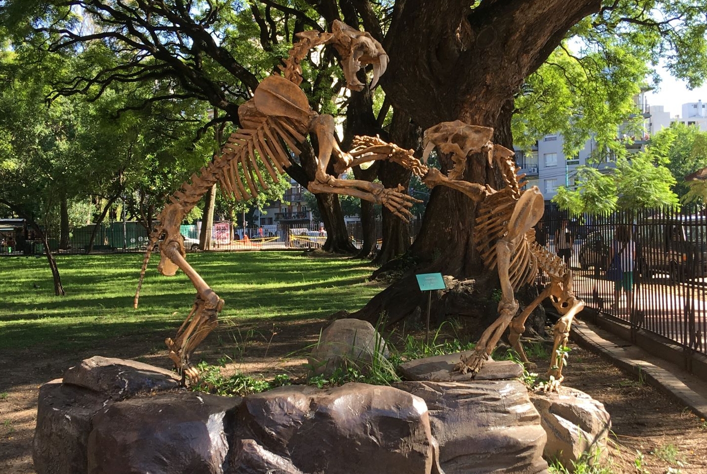 Se viene la Noche de la Prehistoria